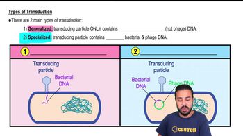 Types of Transduction