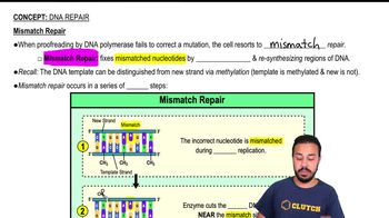 Mismatch Repair