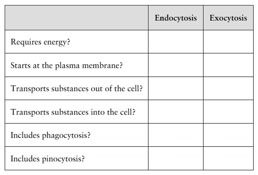 Table with questions comparing two cellular transport processes, with columns for yes or no answers to complete.