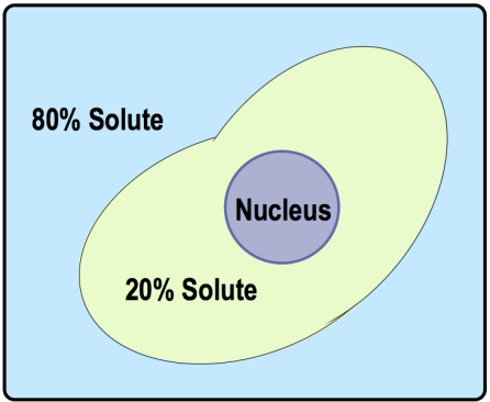 Diagram showing a cell with 80% solute outside and 20% solute inside, illustrating osmosis effects.