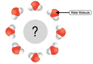 Illustration of water molecules surrounding a question mark, asking about solute charge.