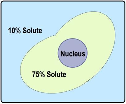 Diagram showing solute concentrations: 10% outside and 75% inside the cell, illustrating osmosis.