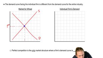 Market Demand and Individual Firm Demand