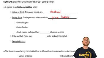 Characteristics of Perfect Competition