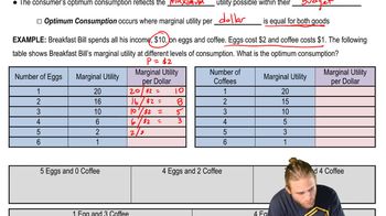 Consumer Optimum Consumption: Marginal Utility per Dollar Spent