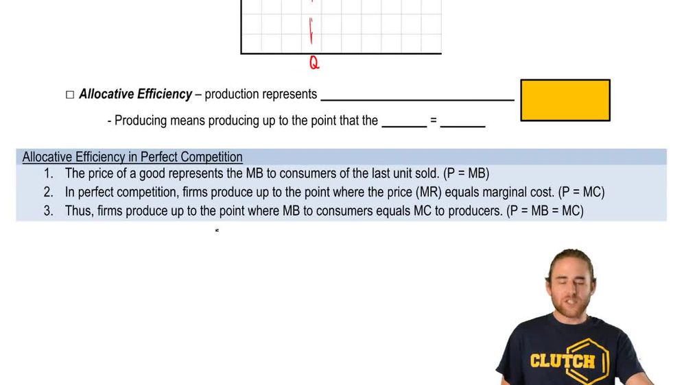 Efficiency in Perfect Competition