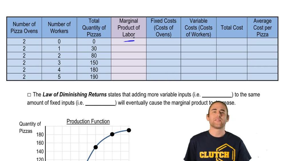 The Production Function and Diminishing Returns