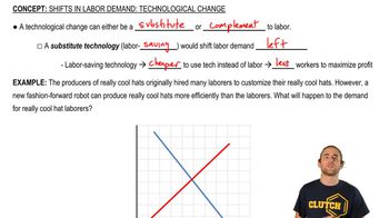 Shifts in Labor Demand:Technological Change (I)