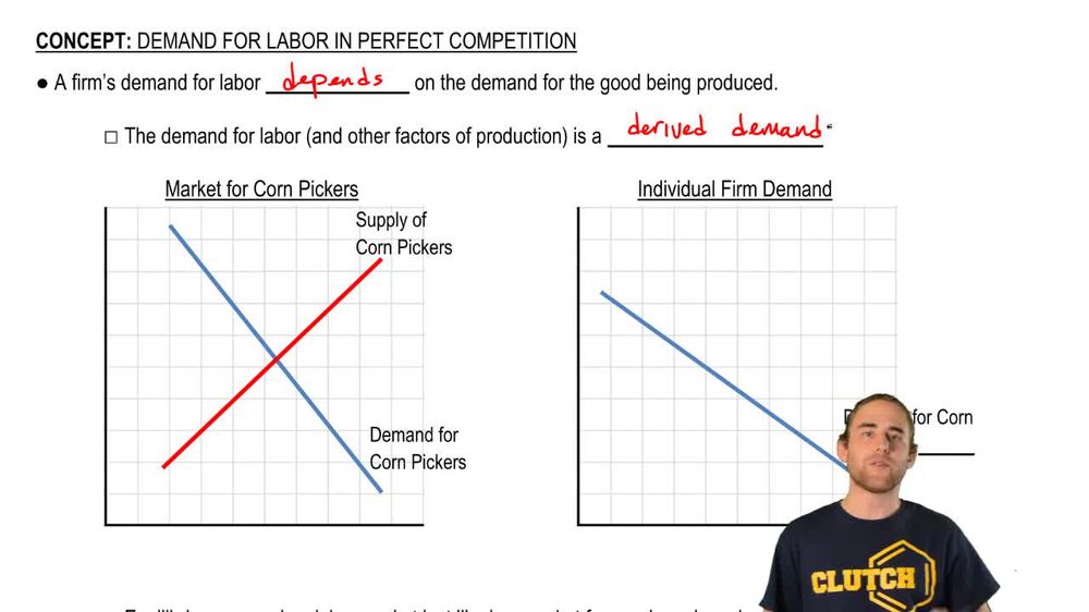 Demand for Labor in Perfect Competition