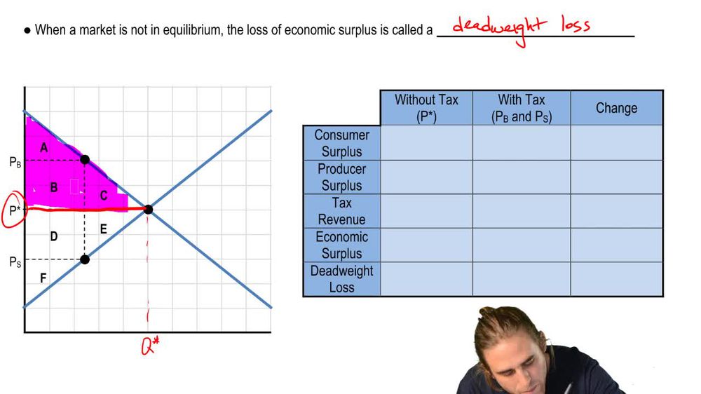 Effects of Taxes