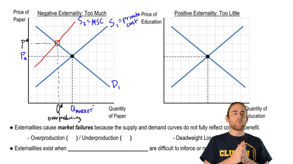 Externalities: Social Benefits and Social Costs - Video Tutorials