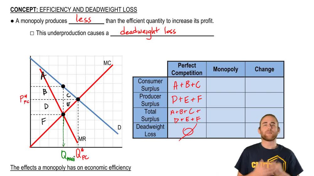 Monopoly Efficiency and Deadweight Loss