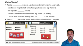 What are Vitamins?