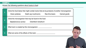 Foodborne Toxins Example 1