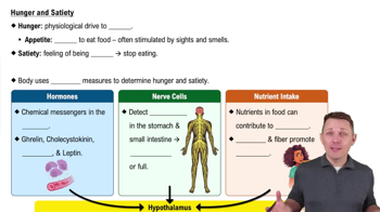 Hunger and Satiety