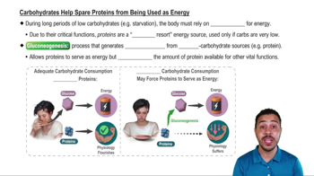 Carbohydrates Help Space Proteins from Being Used as Energy