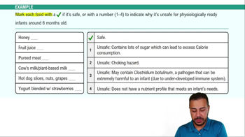 Nutritional Needs for Infants Example 2