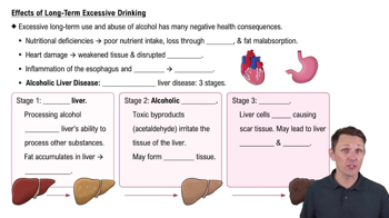 Effects of Long-term Excessive Drinking