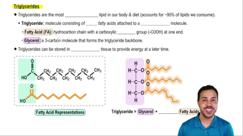 Triglycerides