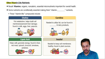Other Vitamin-Like Nutrients