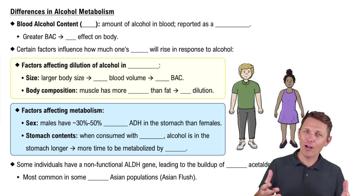 Differences in Alcohol Metabolism