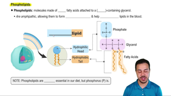 Phospholipids