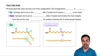 Trans Fatty Acids
