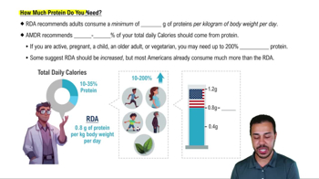 How Much Protein Do You Need?