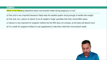 Nutrition During Gestation Example 1
