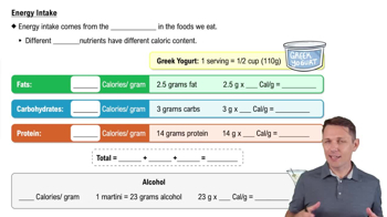 Energy Intake