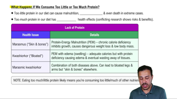 What Happens if We Consume Too Little or Too Much Proteins?