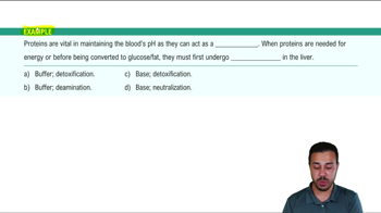 Example 1