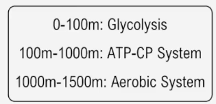 Chart showing energy systems used in a 1500-meter race: Glycolysis for 0-100m, ATP-CP for 100-1000m, Aerobic for 1000-1500m.