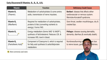 Early-Discovered B Vitamins: B₁, B₂, B₃ & B₅