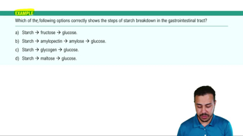 Example 1