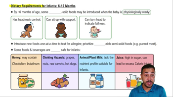 Dietary Requirements for Infants: 6-12 Months