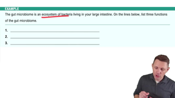 Example 1