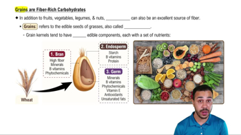 Grains are Fiber-Rich Carbohydrates
