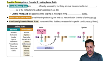 Prioritize Consumption of Essential & Limiting Amino Acids