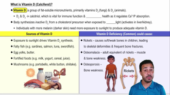 What is Vitamin D (Calciferol)