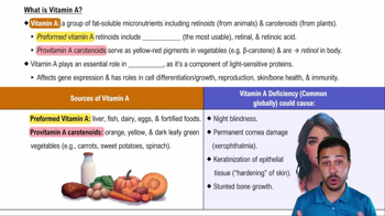 What is Vitamin A?