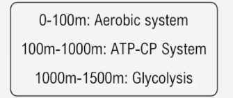 Chart showing energy systems used in a 1500-meter race: Aerobic system, ATP-CP system, and Glycolysis.