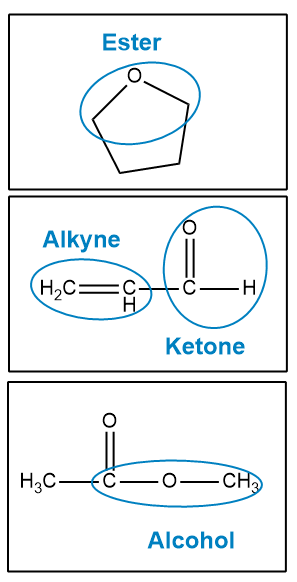 Three organic structures labeled: Ester, Alkynes, and Ketone with functional groups circled.