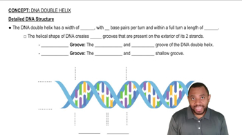 DNA Double Helix Concept 2