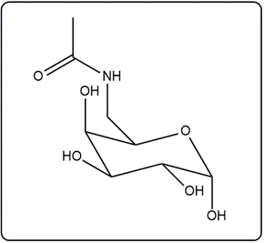 Chair conformation of N-acetylgalactosamine with an acetyl group and hydroxyls.