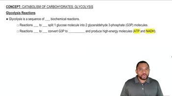 Glycolysis Reactions