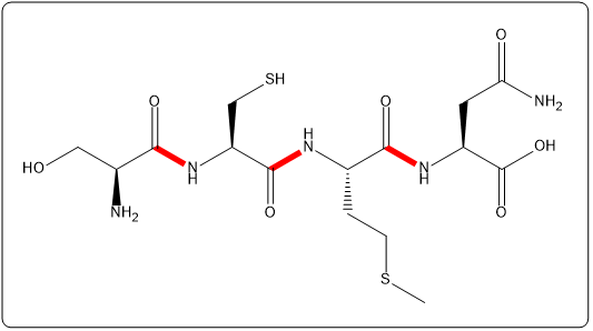 Structure of tetrapeptide Ser-Cys-Met-Asp with peptide bonds highlighted in red.