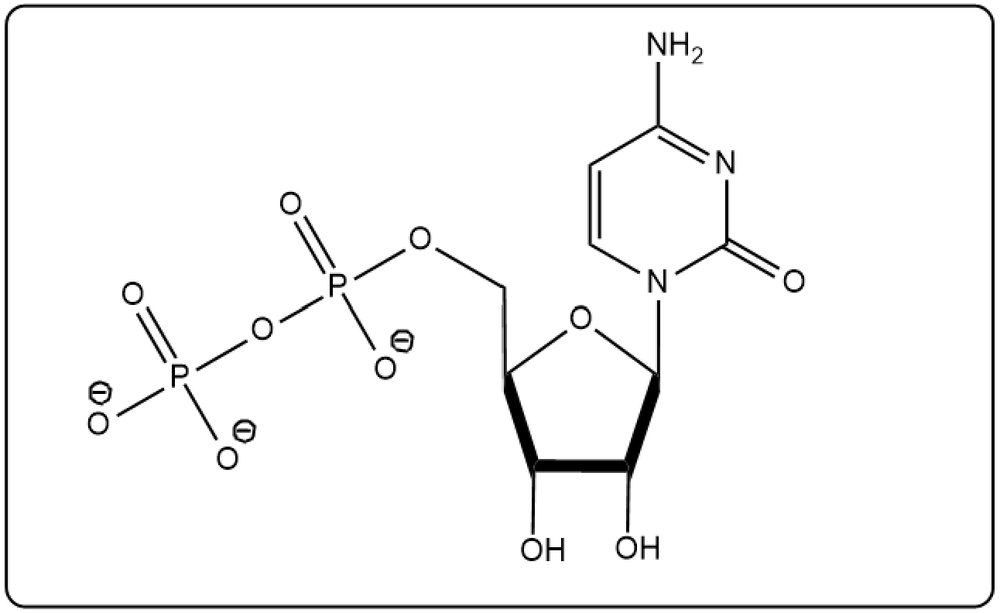 Structure of cyclic uridine monophosphate with phosphate and sugar components.