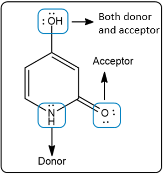 Diagram showing a molecule acting as both donor and acceptor in hydrogen bonding.