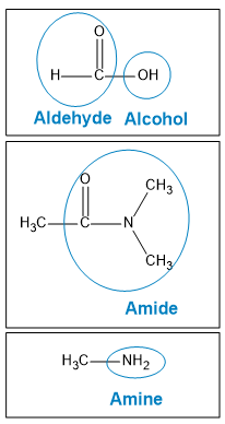 Structures of aldehyde, alcohol, amide, and amine with labels.